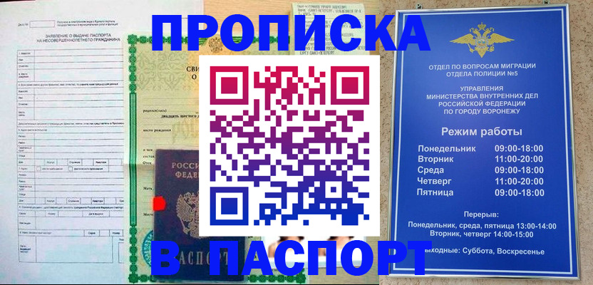 форма 3 в Камышлове